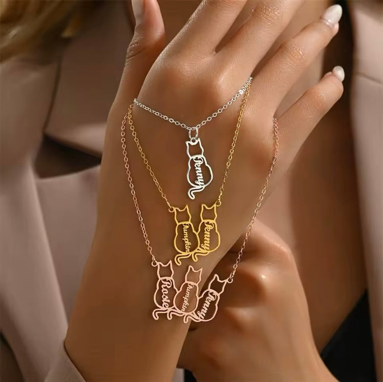 The Paws Collection